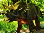Rompecabezas de dinosaurios Triceratops